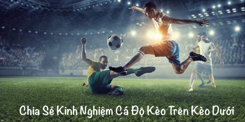 Cược thủ tích lũy kinh nghiệm nâng cao tỷ lệ chiến thắng 